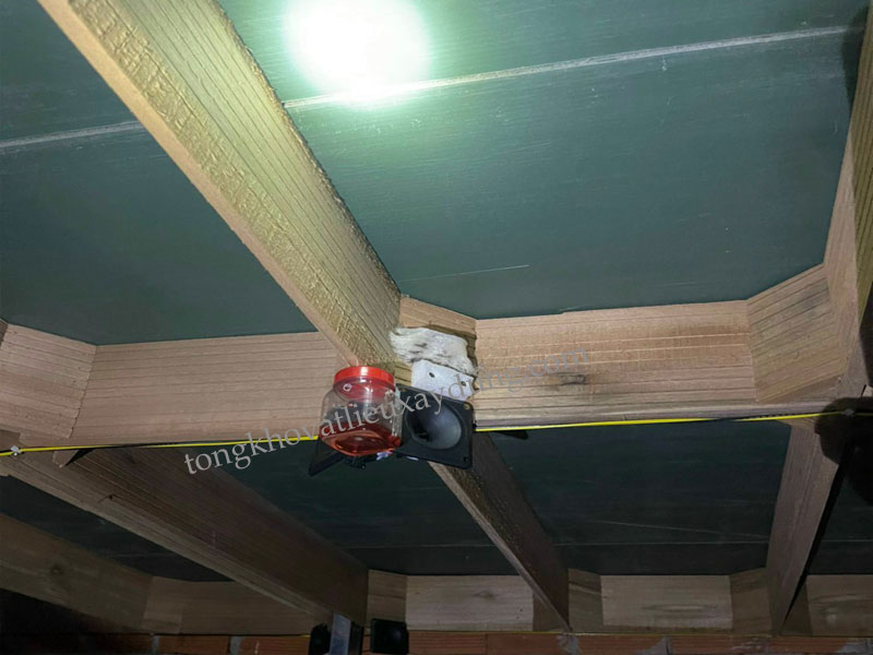 Tấm Nhựa Eco Lót Sàn Nhà Yến