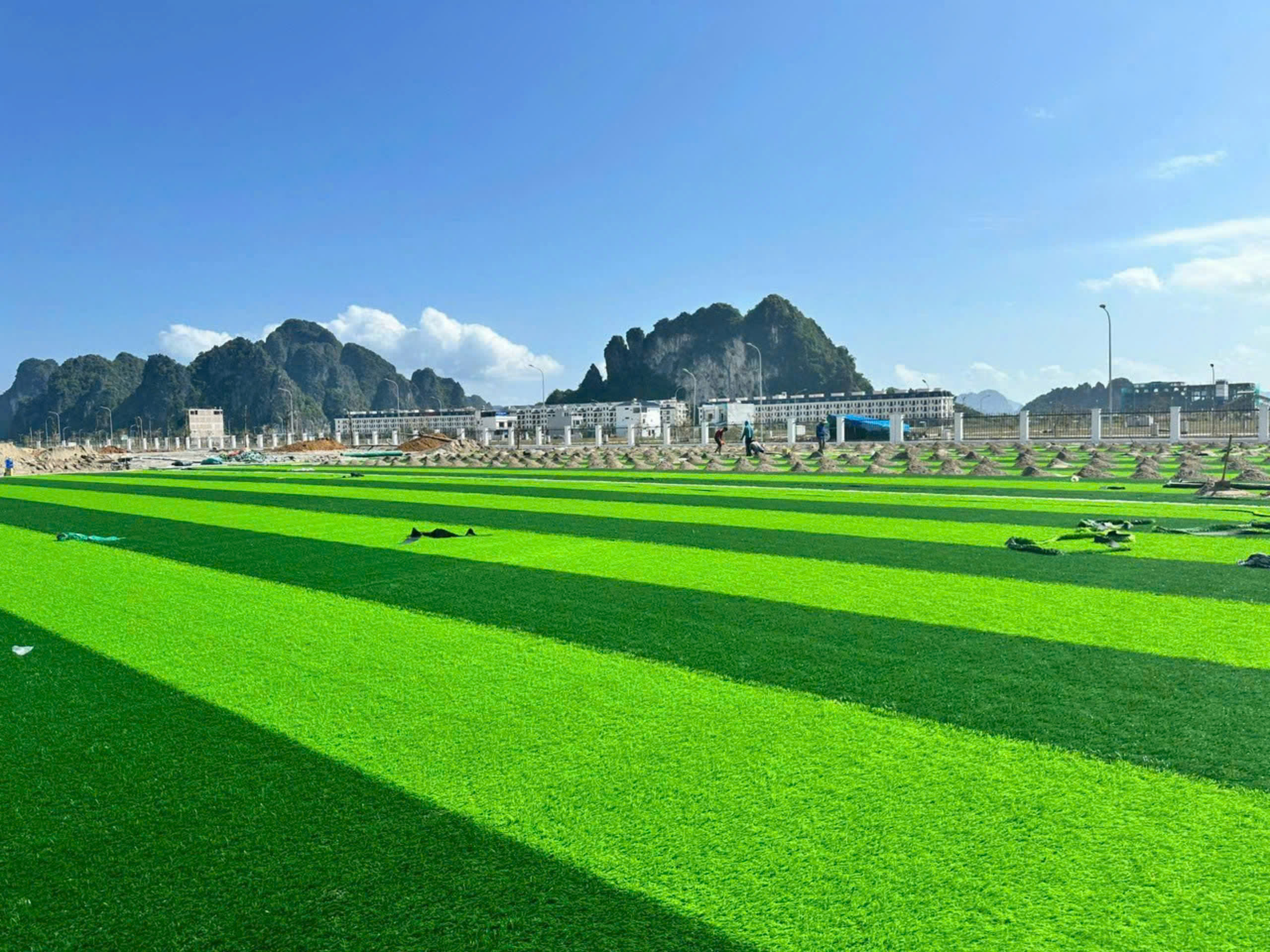 Sân cỏ nhân tạo