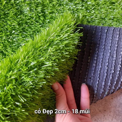 ThẢm CỎ 2cm 18 MŨi