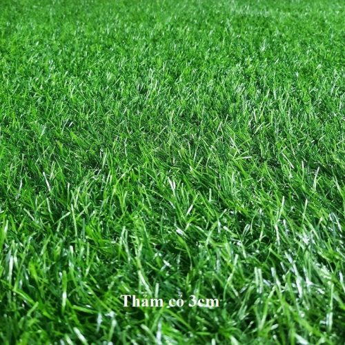ThẢm CỎ 3cm 11 MŨi