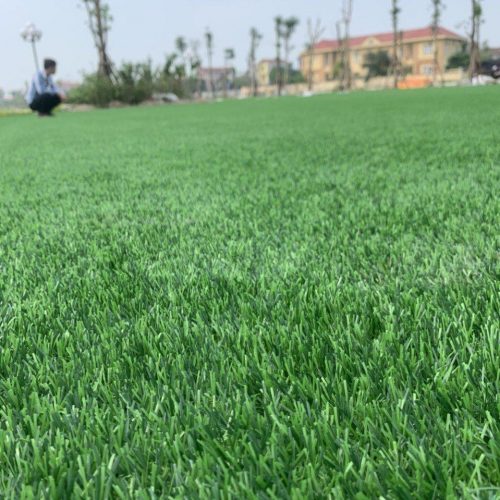 ThẢm CỎ 3cm 16 MŨi