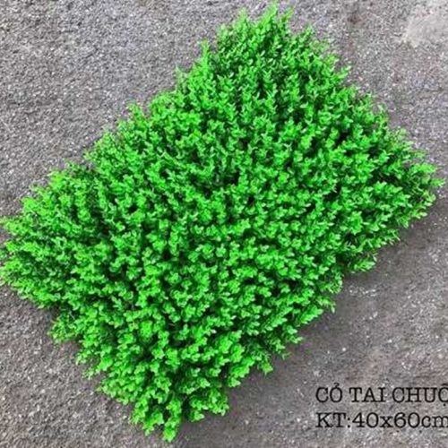 ThẢm CỎ NhÂn TẠo Tai ChuỘt